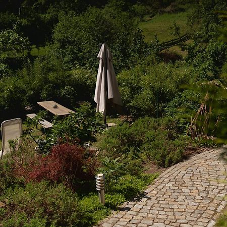 Haus Am Berzdorfer See - 3 Schlafzimmer - Ganzes Haus Zur Alleinnutzung - Terrasse - Hochwertige Ausstattung Gorlitz Bagian luar foto