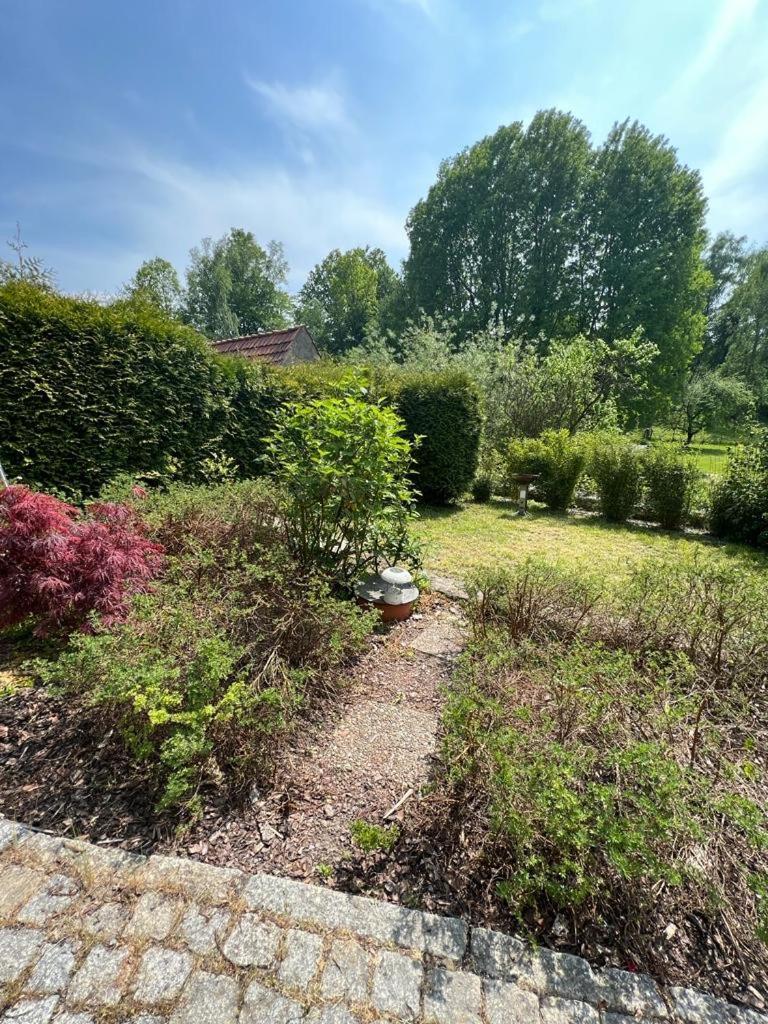Haus Am Berzdorfer See - 3 Schlafzimmer - Ganzes Haus Zur Alleinnutzung - Terrasse - Hochwertige Ausstattung Gorlitz Bagian luar foto