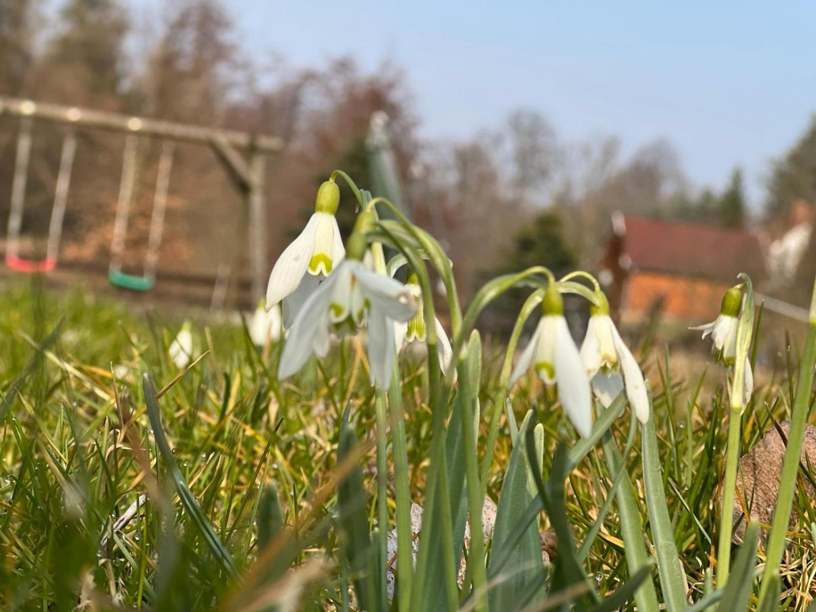 Haus Am Berzdorfer See - 3 Schlafzimmer - Ganzes Haus Zur Alleinnutzung - Terrasse - Hochwertige Ausstattung Gorlitz Bagian luar foto