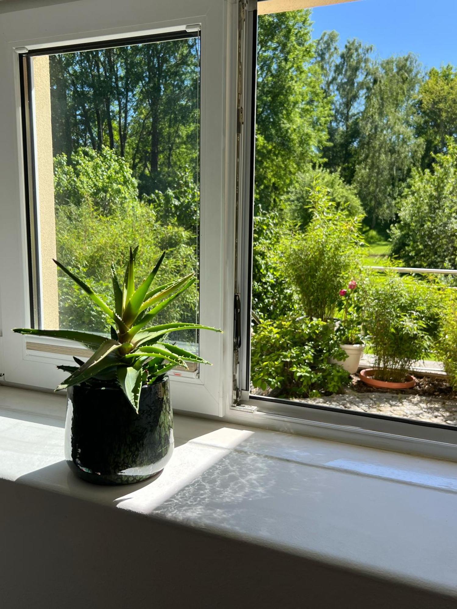 Haus Am Berzdorfer See - 3 Schlafzimmer - Ganzes Haus Zur Alleinnutzung - Terrasse - Hochwertige Ausstattung Gorlitz Bagian luar foto